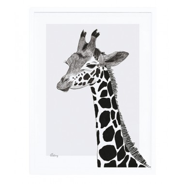 Affiche encadrée Girafe