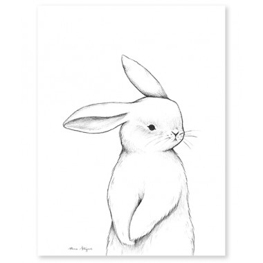 Affiche petit lapin