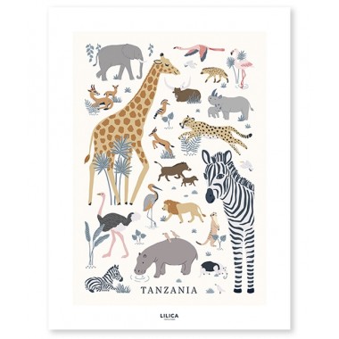Affiche animaux de la jungle