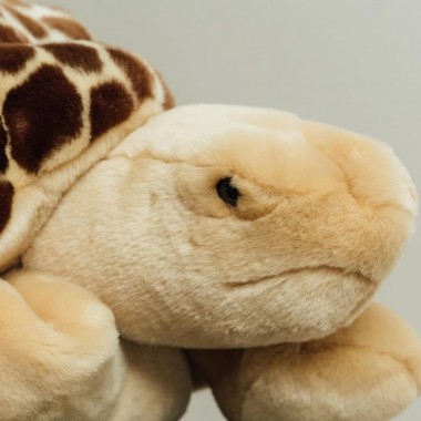 Tortue Peluche Géante - Carapace & XXL