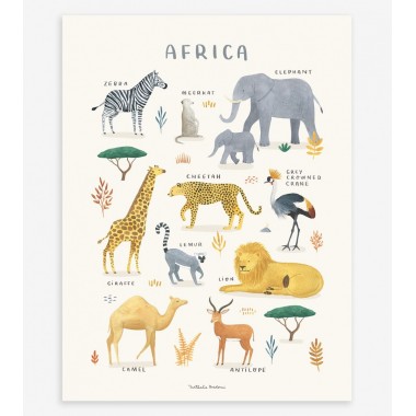 Affiche animaux d'Afrique